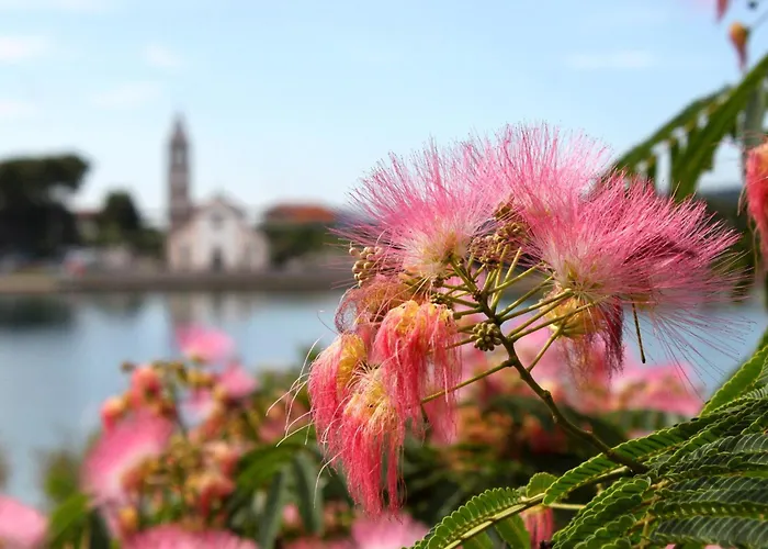 公寓 By The Sea - 19658 *